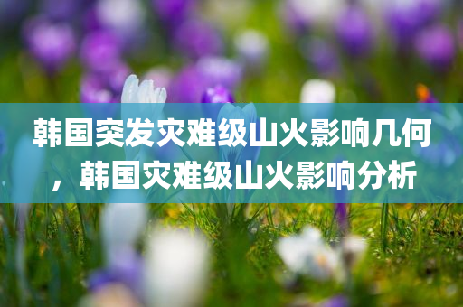 韩国突发灾难级山火影响几何，韩国灾难级山火影响分析