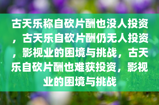 古天乐称自砍片酬也没人投资，古天乐自砍片酬仍无人投资，影视业的困境与挑战，古天乐自砍片酬也难获投资，影视业的困境与挑战
