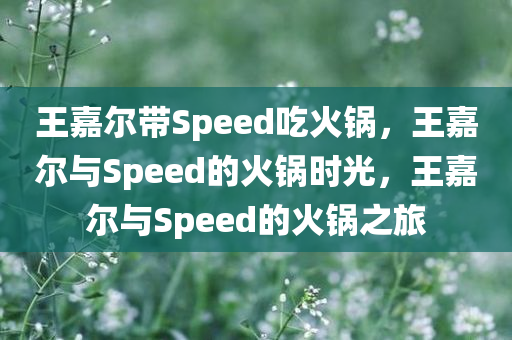 王嘉尔带Speed吃火锅，王嘉尔与Speed的火锅时光，王嘉尔与Speed的火锅之旅