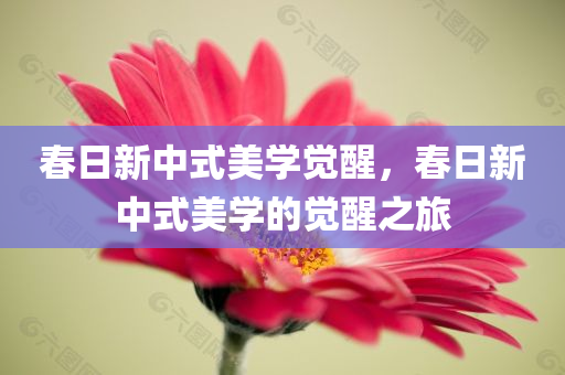 春日新中式美学觉醒，春日新中式美学的觉醒之旅