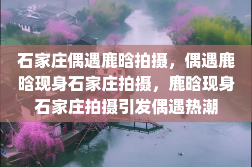 石家庄偶遇鹿晗拍摄，偶遇鹿晗现身石家庄拍摄，鹿晗现身石家庄拍摄引发偶遇热潮