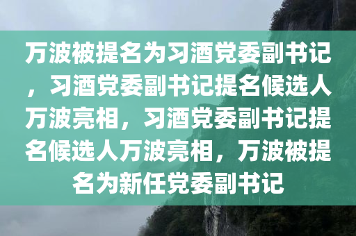 万波被提名为习酒党委副书记，习酒党委副书记提名候选人万波亮相，习酒党委副书记提名候选人万波亮相，万波被提名为新任党委副书记