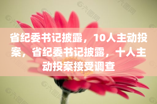 省纪委书记披露，10人主动投案，省纪委书记披露，十人主动投案接受调查