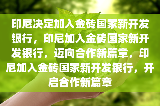 印尼决定加入金砖国家新开发银行，印尼加入金砖国家新开发银行，迈向合作新篇章，印尼加入金砖国家新开发银行，开启合作新篇章