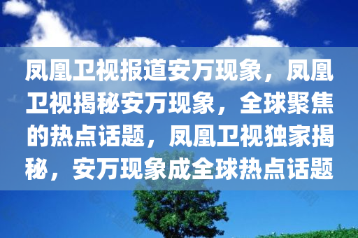 凤凰卫视报道安万现象，凤凰卫视揭秘安万现象，全球聚焦的热点话题，凤凰卫视独家揭秘，安万现象成全球热点话题