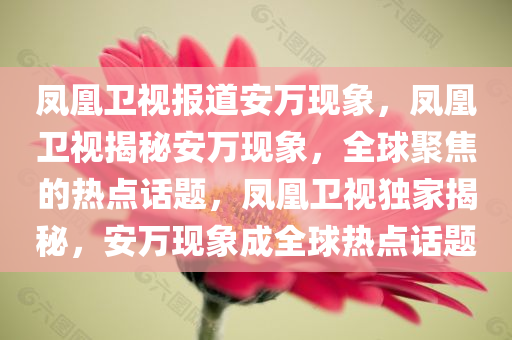 凤凰卫视报道安万现象，凤凰卫视揭秘安万现象，全球聚焦的热点话题，凤凰卫视独家揭秘，安万现象成全球热点话题
