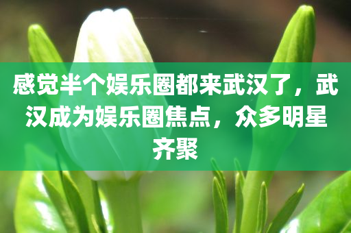 感觉半个娱乐圈都来武汉了，武汉成为娱乐圈焦点，众多明星齐聚