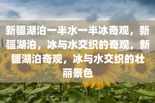 新疆湖泊一半水一半冰奇观，新疆湖泊，冰与水交织的奇观，新疆湖泊奇观，冰与水交织的壮丽景色