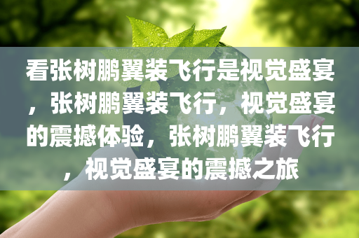 看张树鹏翼装飞行是视觉盛宴，张树鹏翼装飞行，视觉盛宴的震撼体验，张树鹏翼装飞行，视觉盛宴的震撼之旅