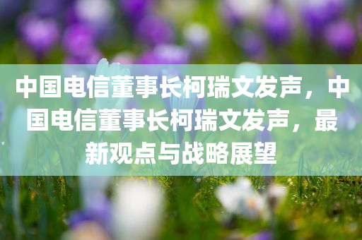 中国电信董事长柯瑞文发声，中国电信董事长柯瑞文发声，最新观点与战略展望