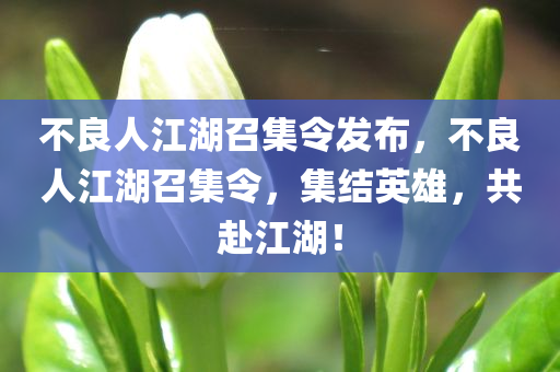 不良人江湖召集令发布，不良人江湖召集令，集结英雄，共赴江湖！