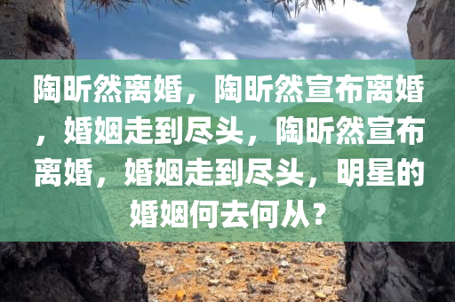 陶昕然离婚，陶昕然宣布离婚，婚姻走到尽头，陶昕然宣布离婚，婚姻走到尽头，明星的婚姻何去何从？