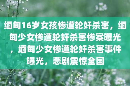 缅甸16岁女孩惨遭轮奸杀害，缅甸少女惨遭轮奸杀害惨案曝光，缅甸少女惨遭轮奸杀害事件曝光，悲剧震惊全国