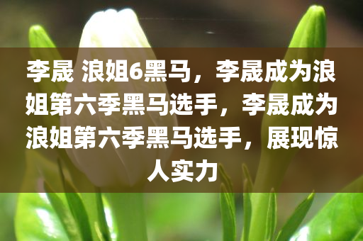 李晟 浪姐6黑马，李晟成为浪姐第六季黑马选手，李晟成为浪姐第六季黑马选手，展现惊人实力