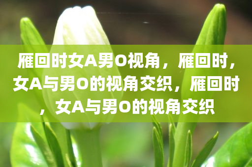 雁回时女A男O视角，雁回时，女A与男O的视角交织，雁回时，女A与男O的视角交织