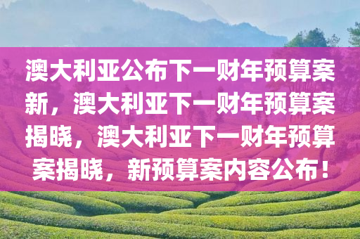 澳大利亚公布下一财年预算案新，澳大利亚下一财年预算案揭晓，澳大利亚下一财年预算案揭晓，新预算案内容公布！