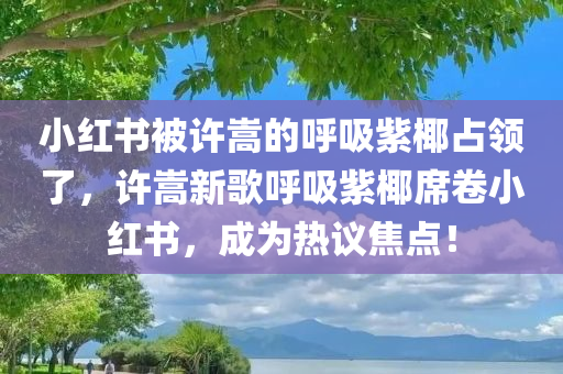 小红书被许嵩的呼吸紫椰占领了，许嵩新歌呼吸紫椰席卷小红书，成为热议焦点！