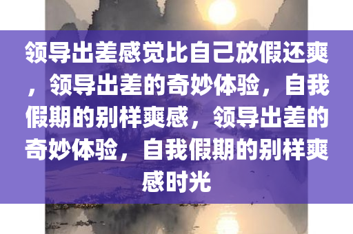 领导出差感觉比自己放假还爽，领导出差的奇妙体验，自我假期的别样爽感，领导出差的奇妙体验，自我假期的别样爽感时光