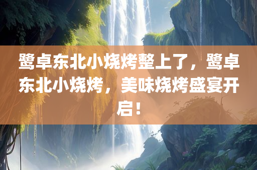 鹭卓东北小烧烤整上了，鹭卓东北小烧烤，美味烧烤盛宴开启！