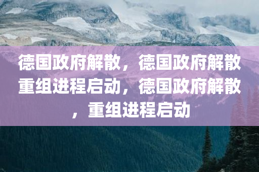 德国政府解散，德国政府解散重组进程启动，德国政府解散，重组进程启动