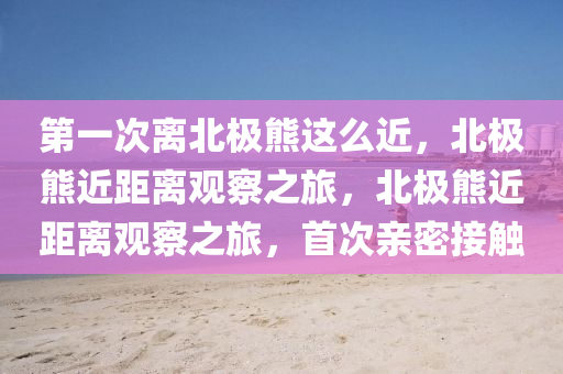 第一次离北极熊这么近，北极熊近距离观察之旅，北极熊近距离观察之旅，首次亲密接触
