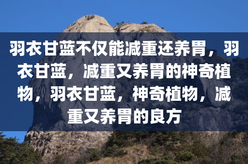 羽衣甘蓝不仅能减重还养胃，羽衣甘蓝，减重又养胃的神奇植物，羽衣甘蓝，神奇植物，减重又养胃的良方