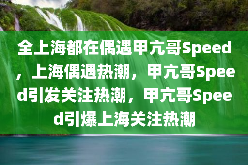 全上海都在偶遇甲亢哥Speed，上海偶遇热潮，甲亢哥Speed引发关注热潮，甲亢哥Speed引爆上海关注热潮