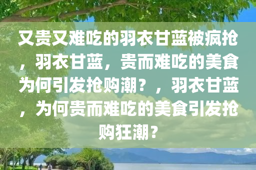 又贵又难吃的羽衣甘蓝被疯抢，羽衣甘蓝，贵而难吃的美食为何引发抢购潮？，羽衣甘蓝，为何贵而难吃的美食引发抢购狂潮？