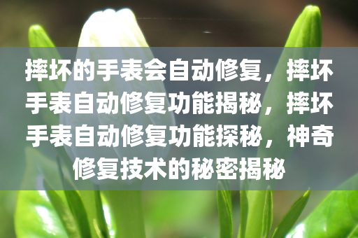 摔坏的手表会自动修复，摔坏手表自动修复功能揭秘，摔坏手表自动修复功能探秘，神奇修复技术的秘密揭秘