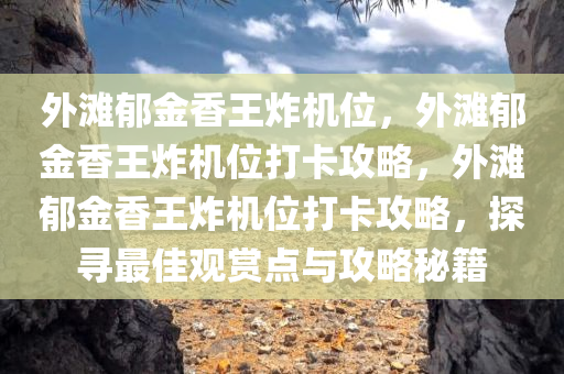 外滩郁金香王炸机位，外滩郁金香王炸机位打卡攻略，外滩郁金香王炸机位打卡攻略，探寻最佳观赏点与攻略秘籍