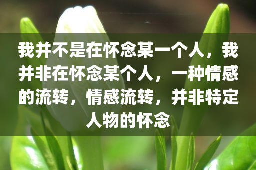 我并不是在怀念某一个人，我并非在怀念某个人，一种情感的流转，情感流转，并非特定人物的怀念