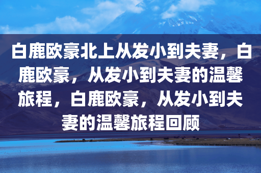 白鹿欧豪北上从发小到夫妻，白鹿欧豪，从发小到夫妻的温馨旅程，白鹿欧豪，从发小到夫妻的温馨旅程回顾