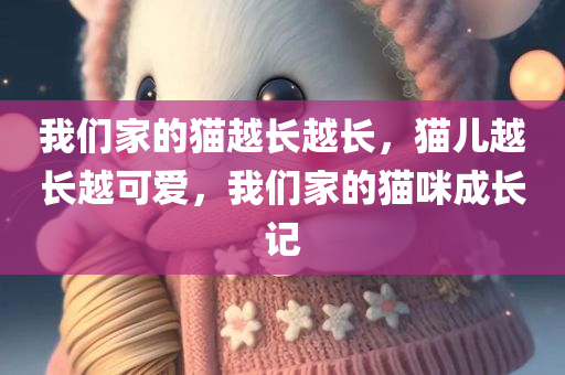 我们家的猫越长越长，猫儿越长越可爱，我们家的猫咪成长记