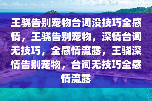 王骁告别宠物台词没技巧全感情，王骁告别宠物，深情台词无技巧，全感情流露，王骁深情告别宠物，台词无技巧全感情流露