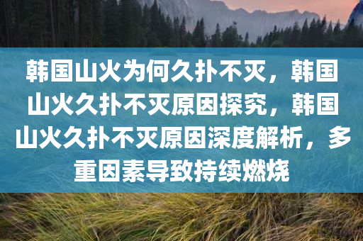 韩国山火为何久扑不灭，韩国山火久扑不灭原因探究，韩国山火久扑不灭原因深度解析，多重因素导致持续燃烧