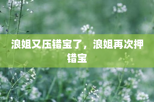 浪姐又压错宝了，浪姐再次押错宝