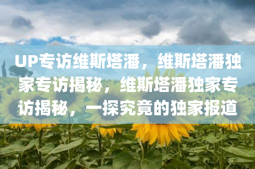UP专访维斯塔潘，维斯塔潘独家专访揭秘，维斯塔潘独家专访揭秘，一探究竟的独家报道