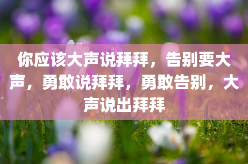你应该大声说拜拜，告别要大声，勇敢说拜拜，勇敢告别，大声说出拜拜