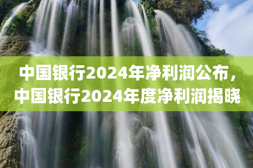 中国银行2024年净利润公布，中国银行2024年度净利润揭晓