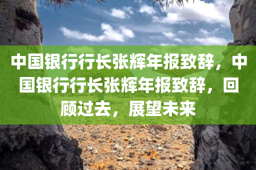 中国银行行长张辉年报致辞，中国银行行长张辉年报致辞，回顾过去，展望未来