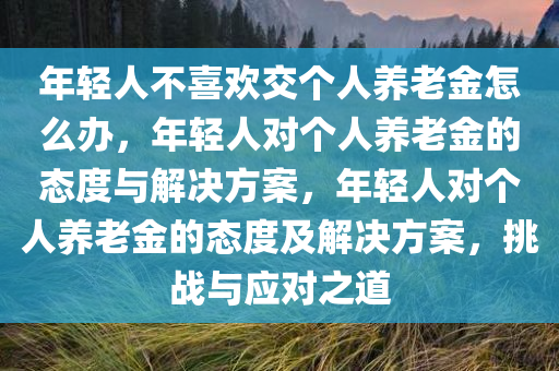 年轻人不喜欢交个人养老金怎么办，年轻人对个人养老金的态度与解决方案，年轻人对个人养老金的态度及解决方案，挑战与应对之道