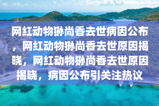 网红动物狲尚香去世病因公布，网红动物狲尚香去世原因揭晓，网红动物狲尚香去世原因揭晓，病因公布引关注热议