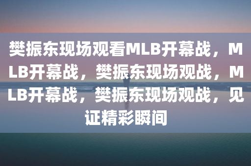 樊振东现场观看MLB开幕战，MLB开幕战，樊振东现场观战，MLB开幕战，樊振东现场观战，见证精彩瞬间