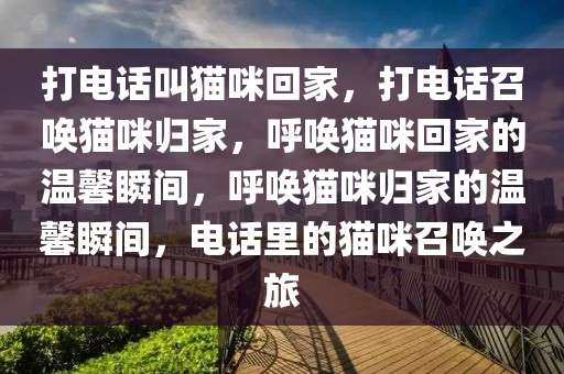 打电话叫猫咪回家，打电话召唤猫咪归家，呼唤猫咪回家的温馨瞬间，呼唤猫咪归家的温馨瞬间，电话里的猫咪召唤之旅