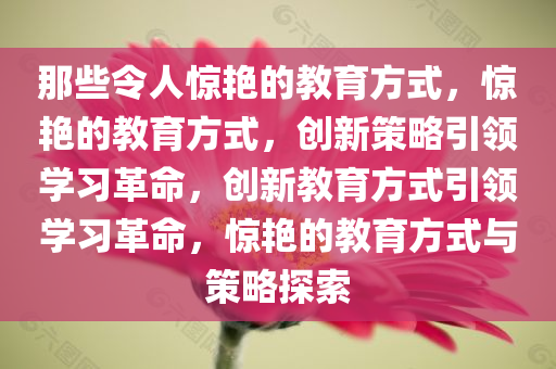 那些令人惊艳的教育方式，惊艳的教育方式，创新策略引领学习革命，创新教育方式引领学习革命，惊艳的教育方式与策略探索