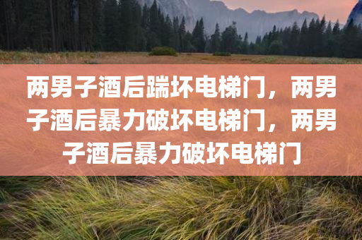 两男子酒后踹坏电梯门，两男子酒后暴力破坏电梯门，两男子酒后暴力破坏电梯门