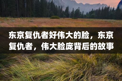 东京复仇者好伟大的脸，东京复仇者，伟大脸庞背后的故事