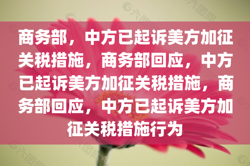 商务部，中方已起诉美方加征关税措施，商务部回应，中方已起诉美方加征关税措施，商务部回应，中方已起诉美方加征关税措施行为