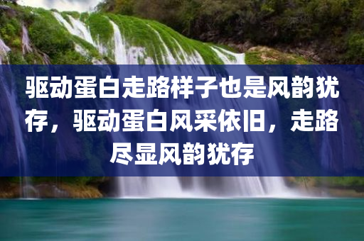 驱动蛋白走路样子也是风韵犹存，驱动蛋白风采依旧，走路尽显风韵犹存