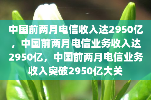 中国前两月电信收入达2950亿，中国前两月电信业务收入达2950亿，中国前两月电信业务收入突破2950亿大关